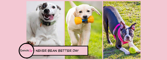 NEVER BEAN BETTER DAY